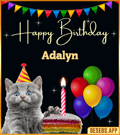 Happy Birthday Cat Gif Adalyn