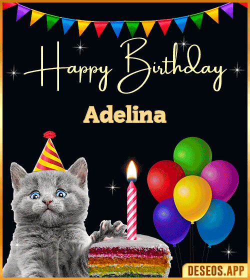 Happy Birthday Cat Gif Adelina