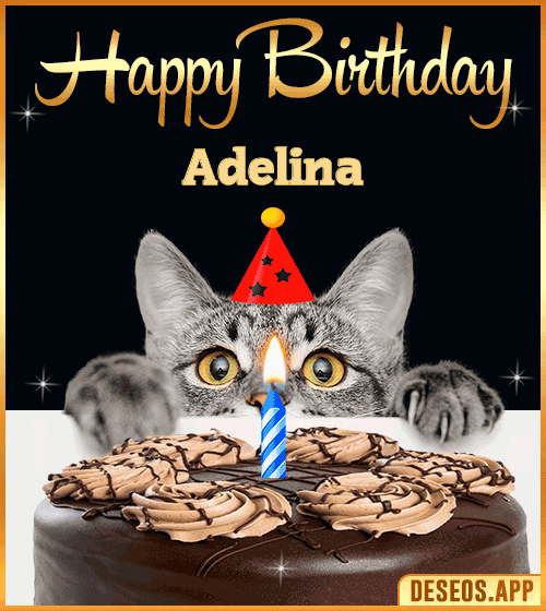 Happy Birthday Gif Funny Adelina
