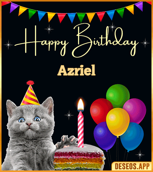 Happy Birthday Cat Gif Azriel