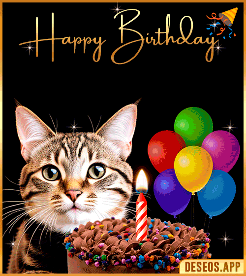 Cat Gif Happy Birthday