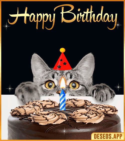 Happy Birthday Gif Funny